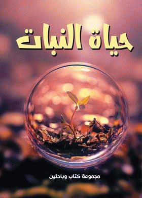 صورة الغلاف