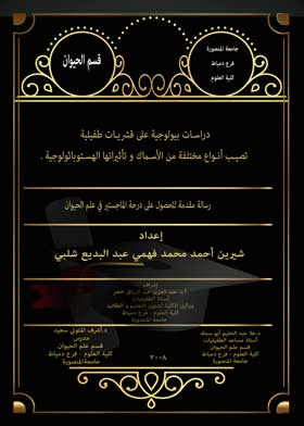 صورة الغلاف