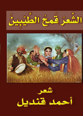 صورة الغلاف