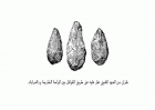 صورة الغلاف