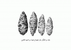 صورة الغلاف