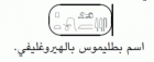 صورة الغلاف