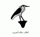 صورة الغلاف