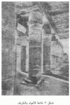 صورة الغلاف
