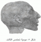 صورة الغلاف