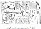 صورة الغلاف