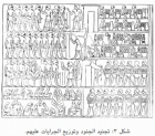 صورة الغلاف