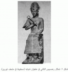 صورة الغلاف