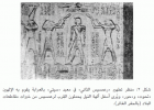 صورة الغلاف