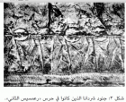 صورة الغلاف