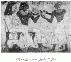 صورة الغلاف