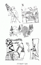 صورة الغلاف