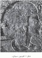 صورة الغلاف