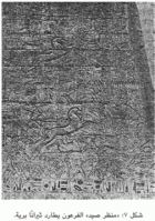 صورة الغلاف
