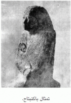 صورة الغلاف