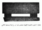 صورة الغلاف
