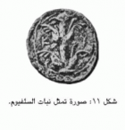 صورة الغلاف