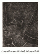 صورة الغلاف