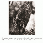صورة الغلاف