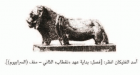صورة الغلاف