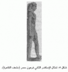 صورة الغلاف