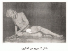 صورة الغلاف