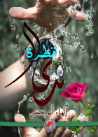 صورة الغلاف