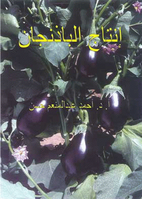 صورة الغلاف