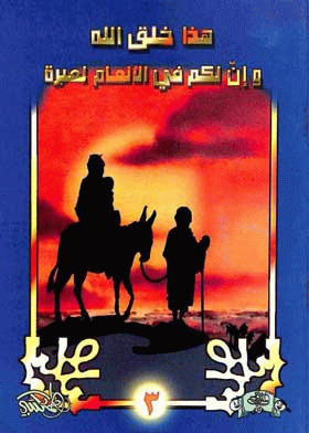 صورة الغلاف