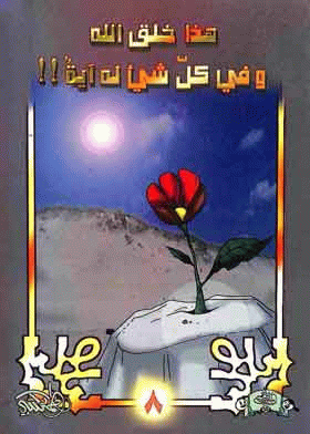 صورة الغلاف