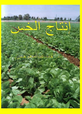 صورة الغلاف