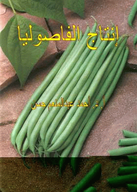 صورة الغلاف