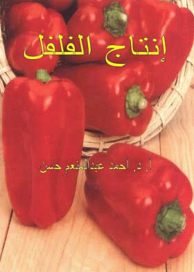 صورة الغلاف