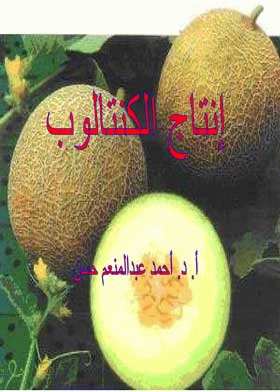 صورة الغلاف
