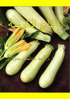 صورة الغلاف