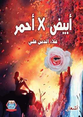 صورة الغلاف