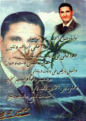 صورة الغلاف