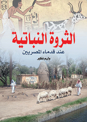 صورة الغلاف